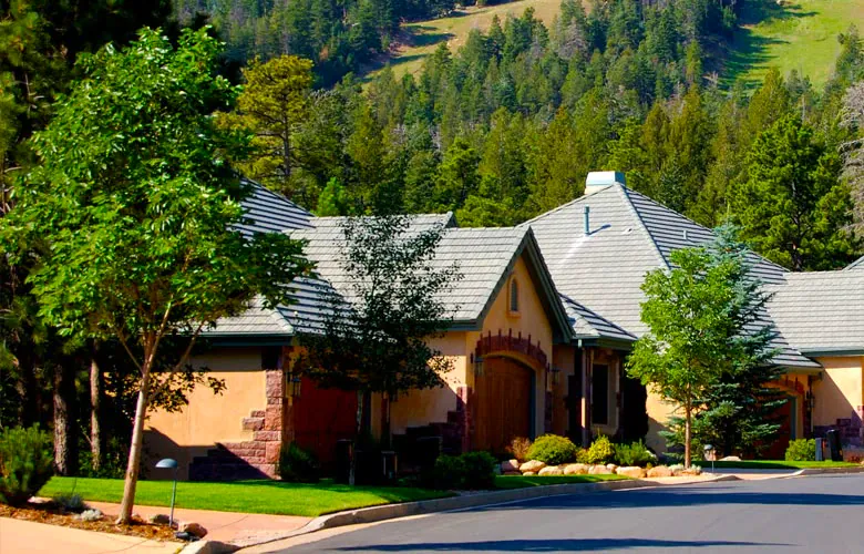 Tile roofs on homes in the pines